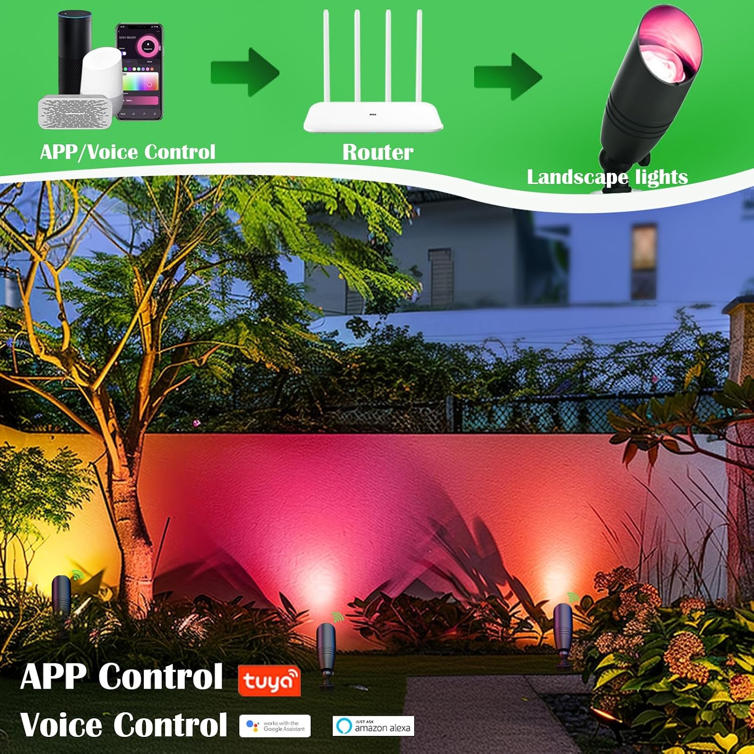 RGB Niederspannungs-Landschaft – Outdoor Lighting Kits Low Voltage Bewertung und Preis